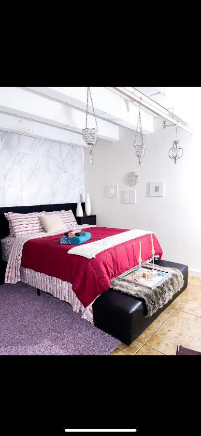 Modern Elite Open Style Loft With Rooftop Pool & Jacuzzi ロサンゼルス エクステリア 写真